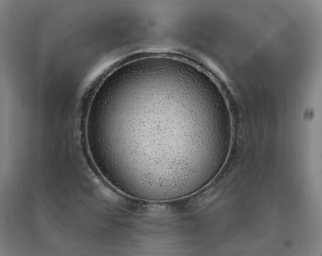X0000091091456200708201446