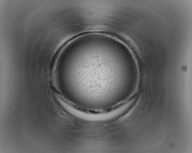 X0000091091457200708201446