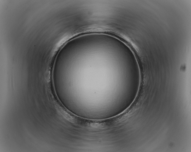 X0000091091459200708201446