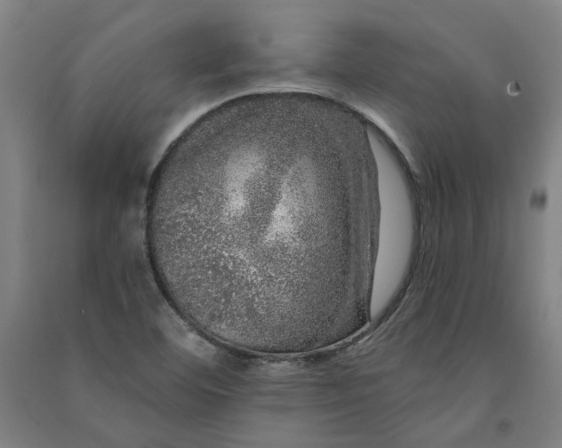 X0000091091460200708201446
