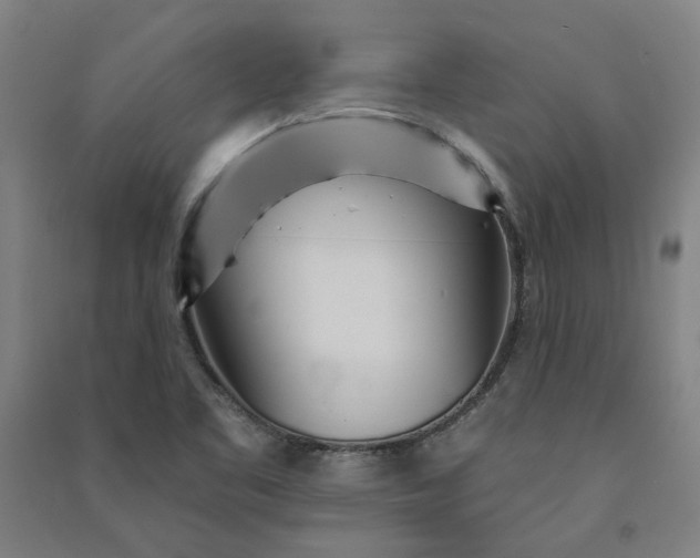 X0000091091461200708201446