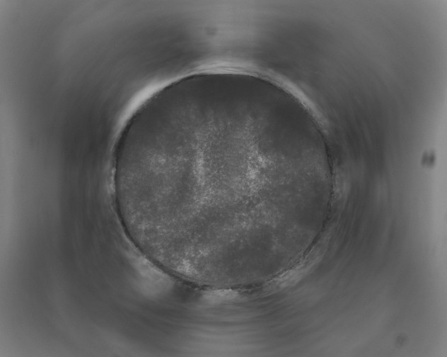 X0000091091462200708201446