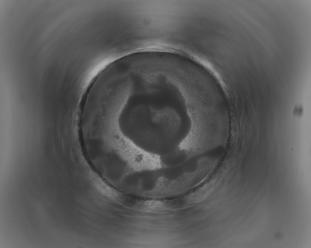 X0000091091463200708201446