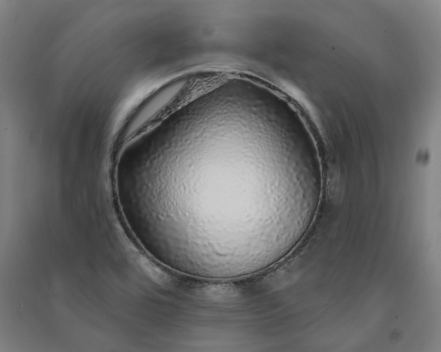 X0000091091464200708201446