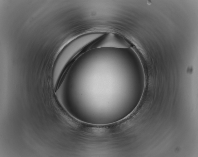 X0000091091465200708201446