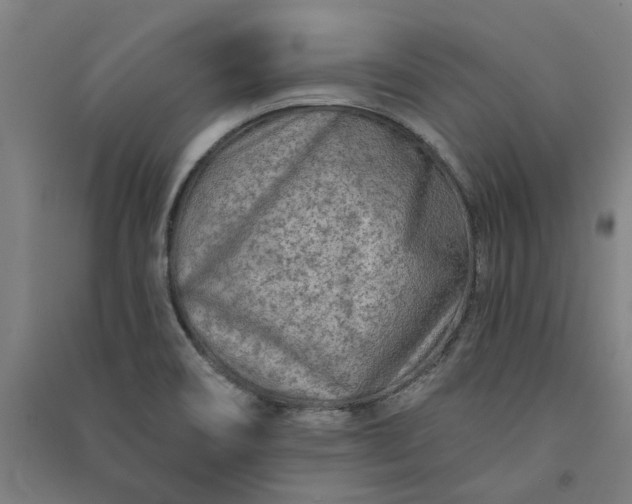 X0000091091466200708201446
