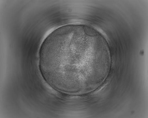 X0000091091467200708201446