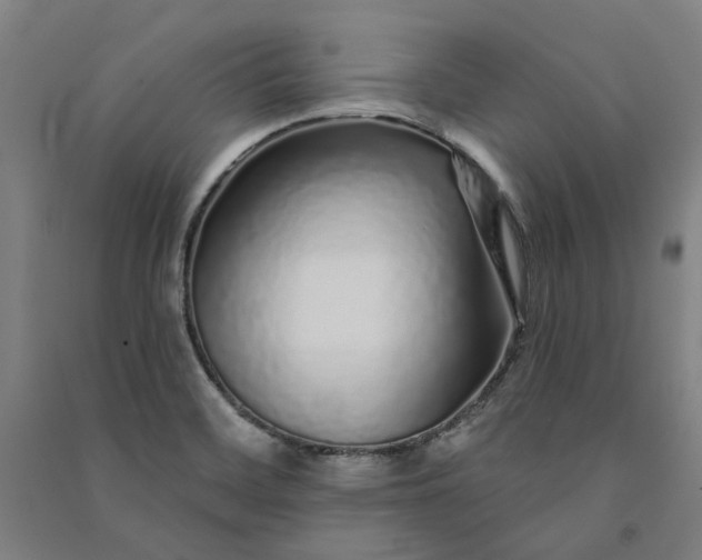 X0000091091468200708201446