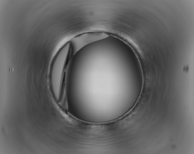 X0000091091469200708201446