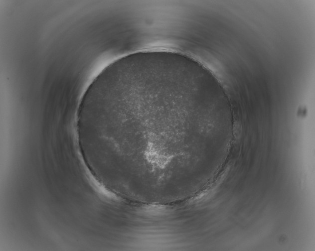 X0000091091470200708201446
