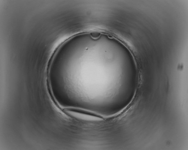 X0000091091471200708201446