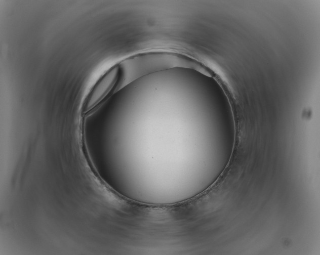 X0000091091472200708201446