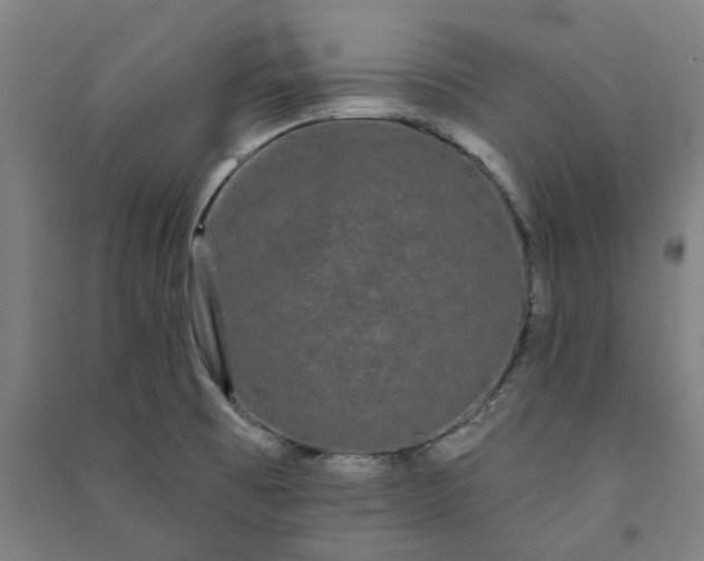 X0000091091473200708201446