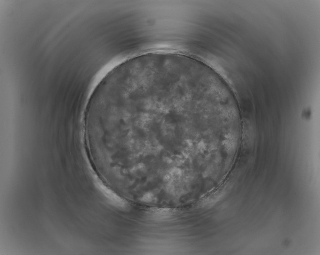 X0000091091474200708201446