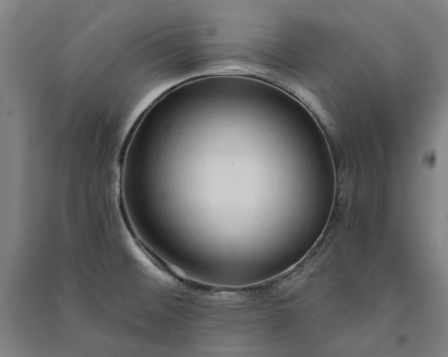 X0000091091476200708201446