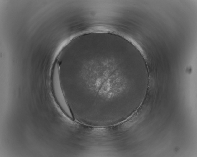 X0000091091477200708201446