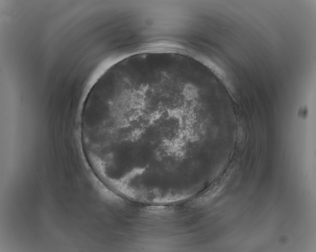 X0000091091478200708201446