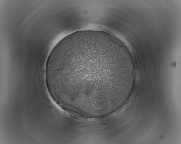 X0000091091479200708201446
