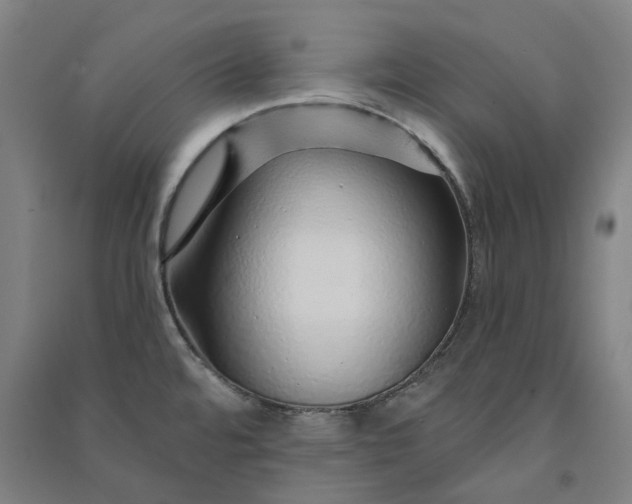 X0000091091480200708201446