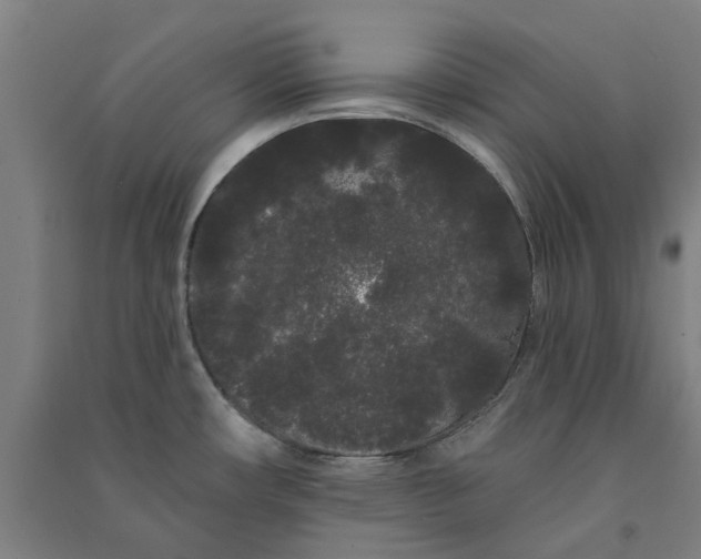 X0000091091482200708201446