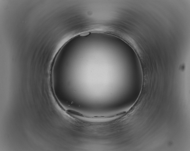 X0000091091483200708201446