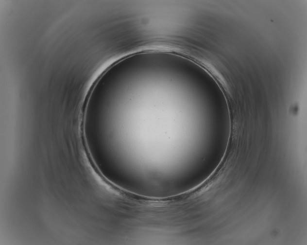 X0000091091484200708201446