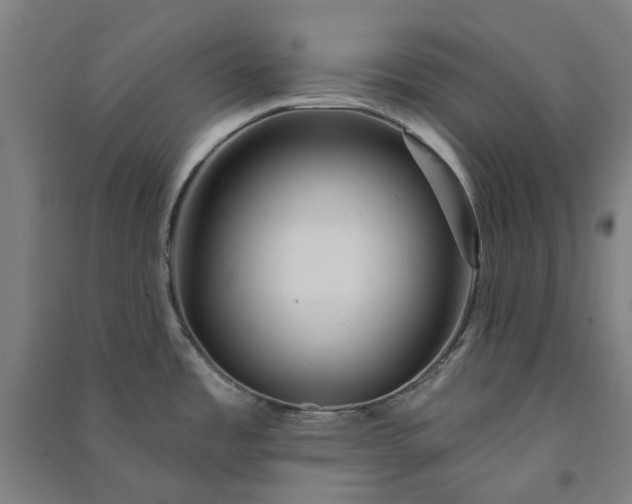 X0000091091485200708201446