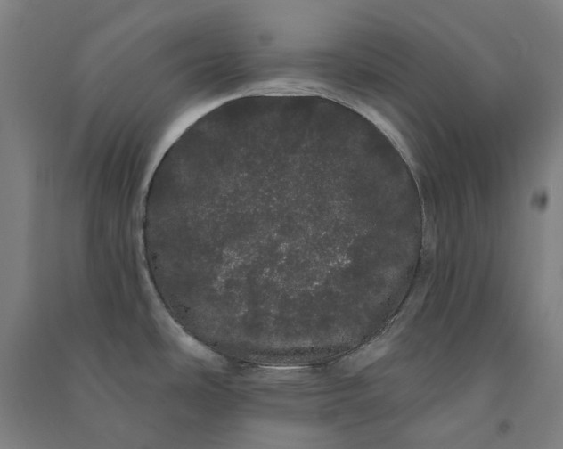 X0000091091486200708201446