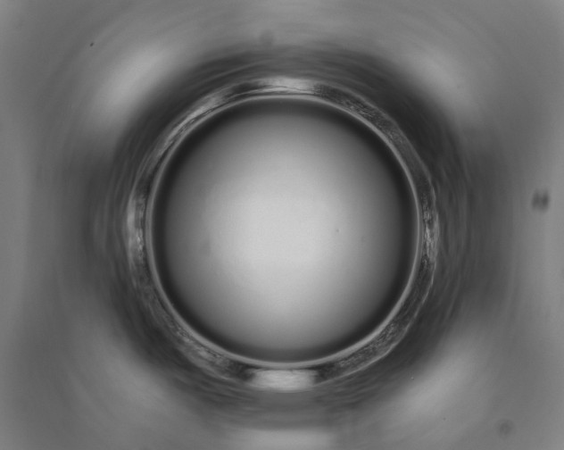 X0000091091487200708201446