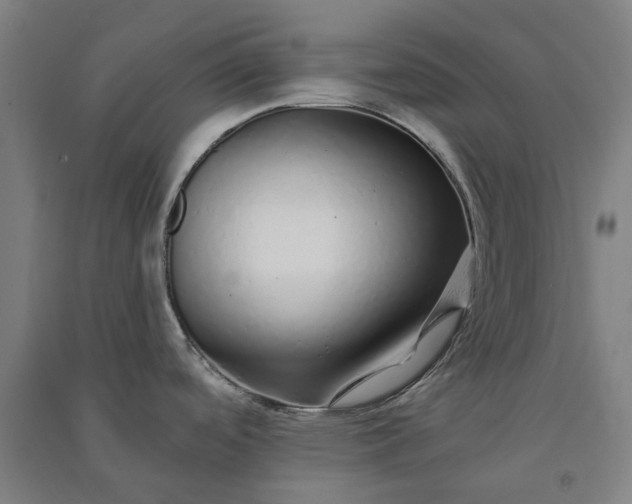 X0000091091488200708201446