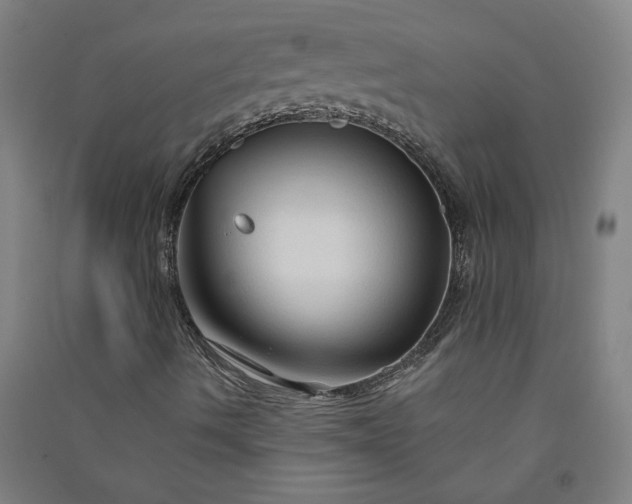 X0000091091490200708201445