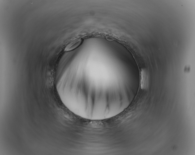 X0000091091491200708201445