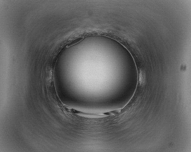 X0000091091492200708201445