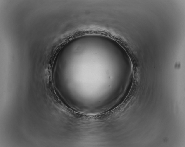 X0000091091493200708201445
