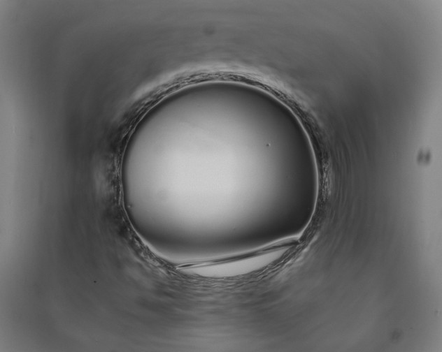 X0000091091494200708201445