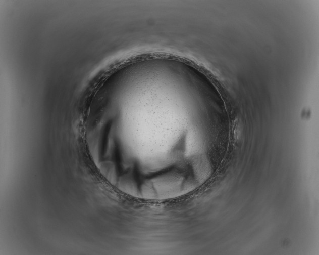 X0000091091495200708201445