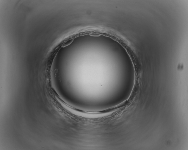X0000091091496200708201445