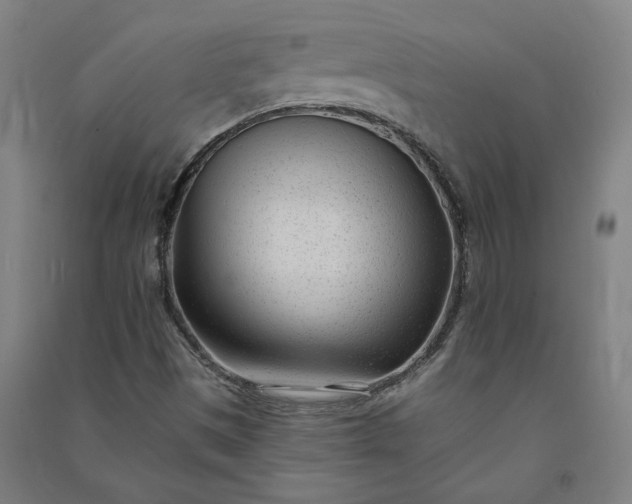 X0000091091497200708201445