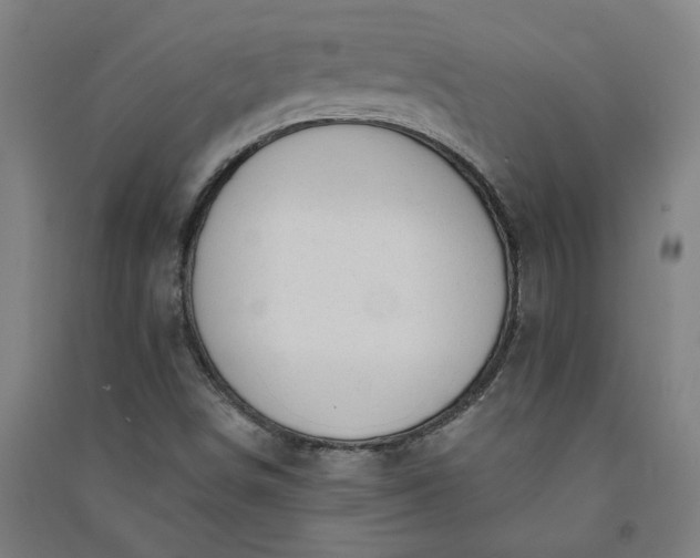 X0000091091498200708201445