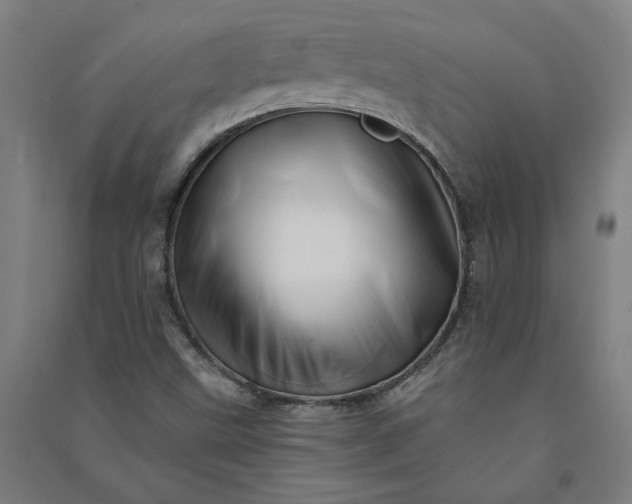 X0000091091499200708201445