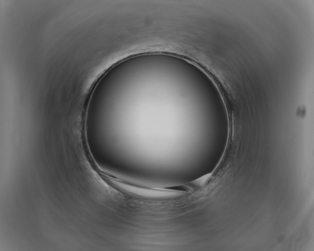 X0000091091500200708201445