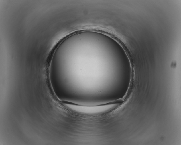 X0000091091501200708201445