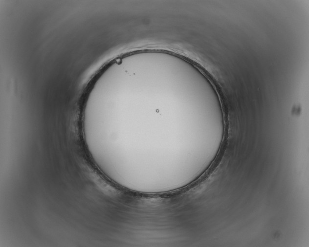 X0000091091502200708201445