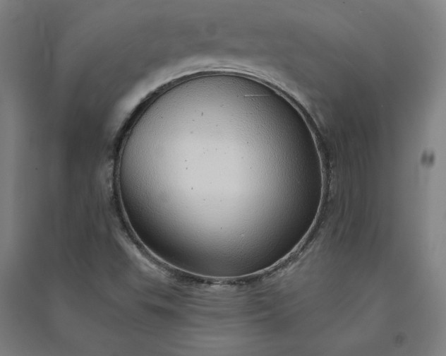 X0000091091503200708201445