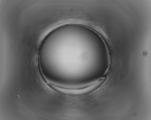 X0000091091504200708201445