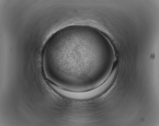 X0000091091506200708201445