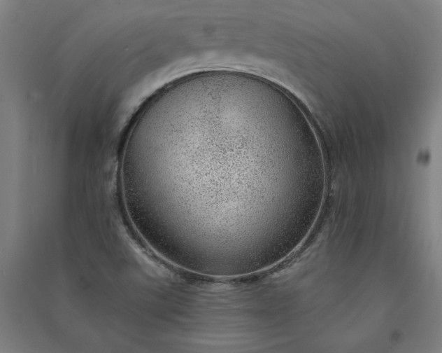 X0000091091507200708201445