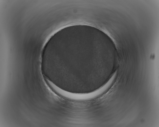 X0000091091508200708201445
