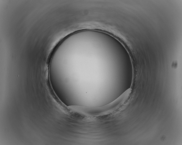 X0000091091509200708201445