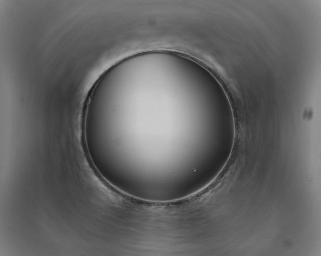 X0000091091512200708201445